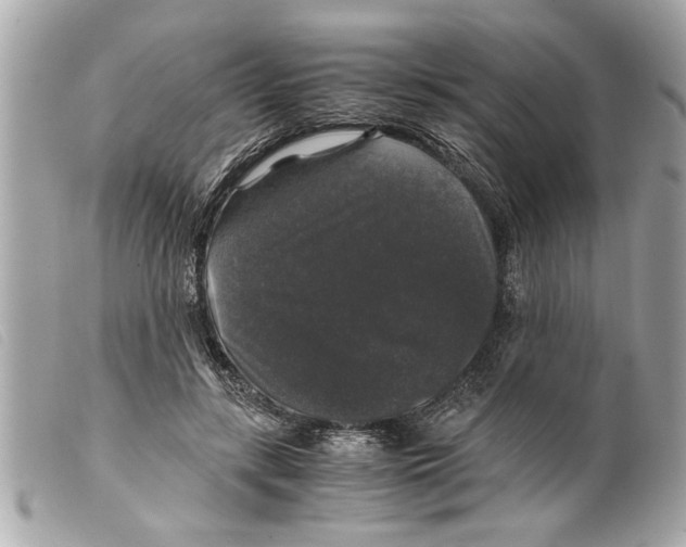 X0000099290547200805301114
