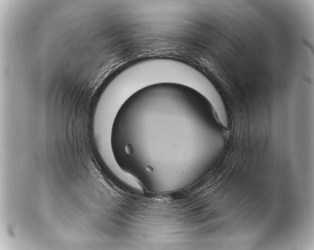 X0000099290548200805301114