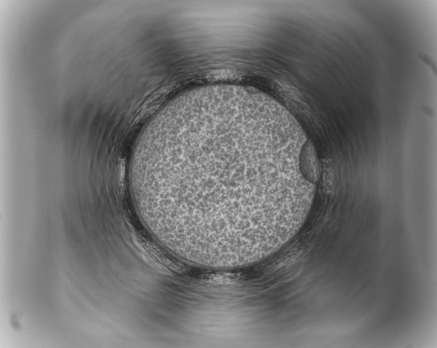 X0000099290550200805301114