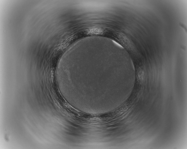 X0000099290551200805301114