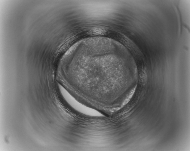 X0000099290552200805301114