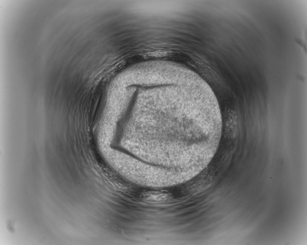 X0000099290555200805301114