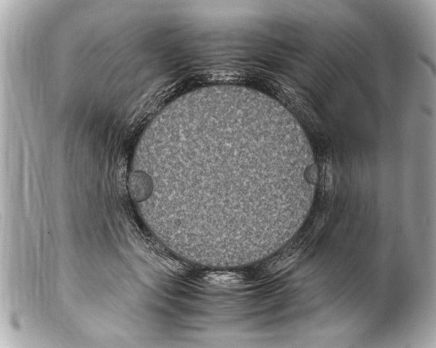 X0000099290557200805301114