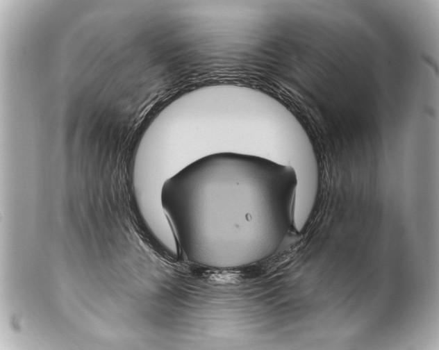 X0000099290560200805301114