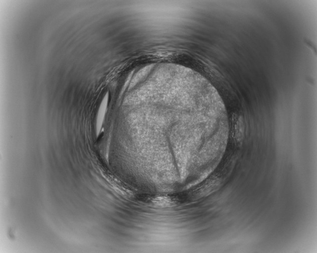 X0000099290562200805301114