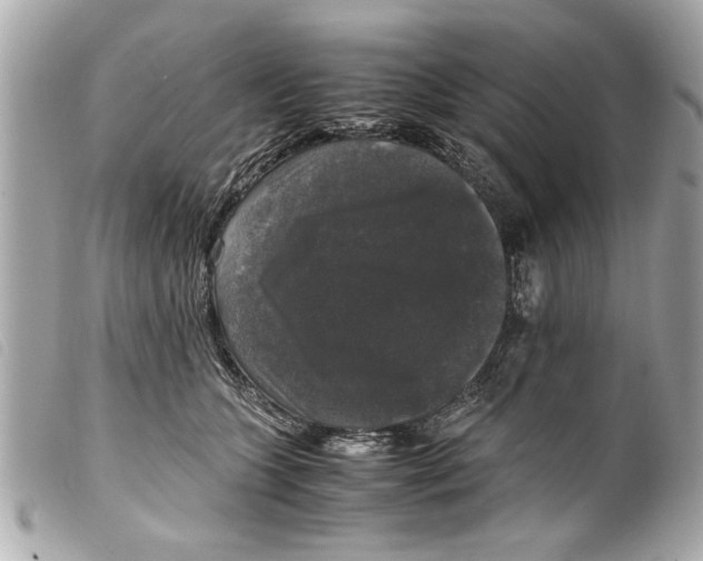 X0000099290563200805301114