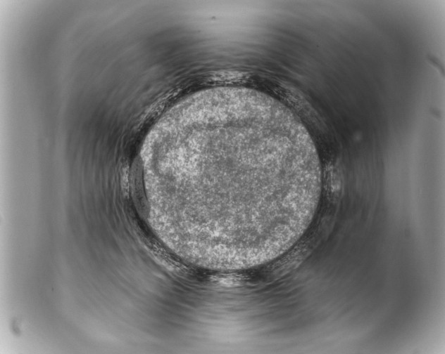 X0000099290564200805301114