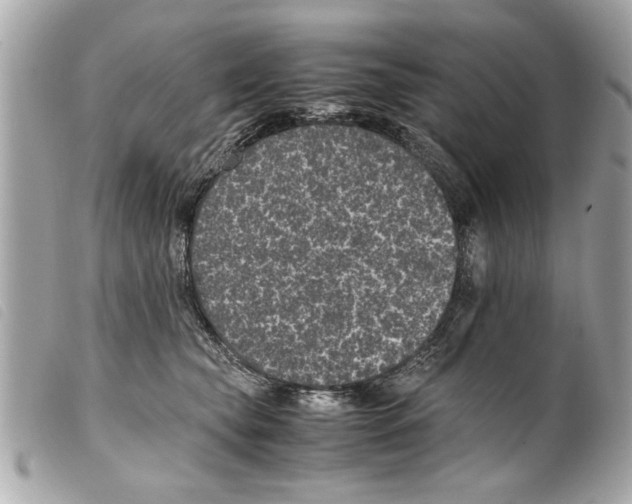 X0000099290565200805301114