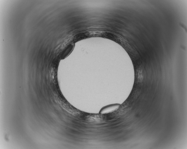 X0000099290567200805301114