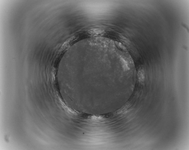 X0000099290570200805301114