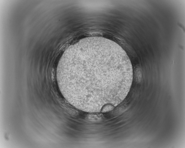 X0000099290571200805301114