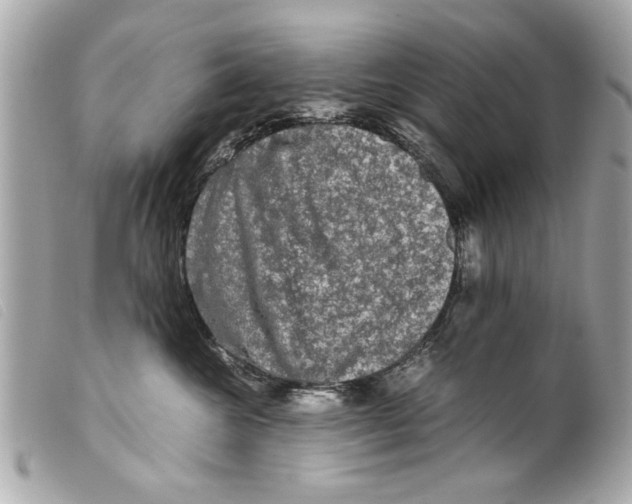 X0000099290572200805301114