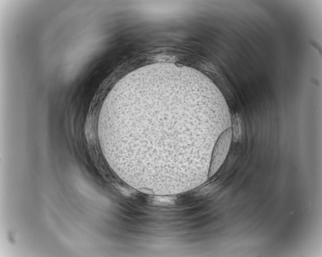 X0000099290573200805301114