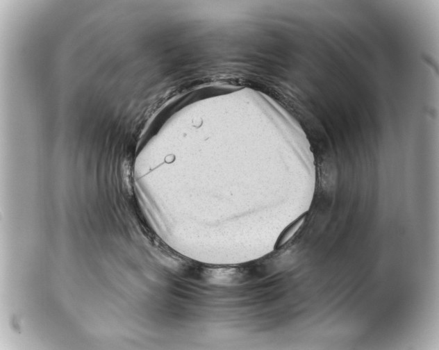 X0000099290575200805301114