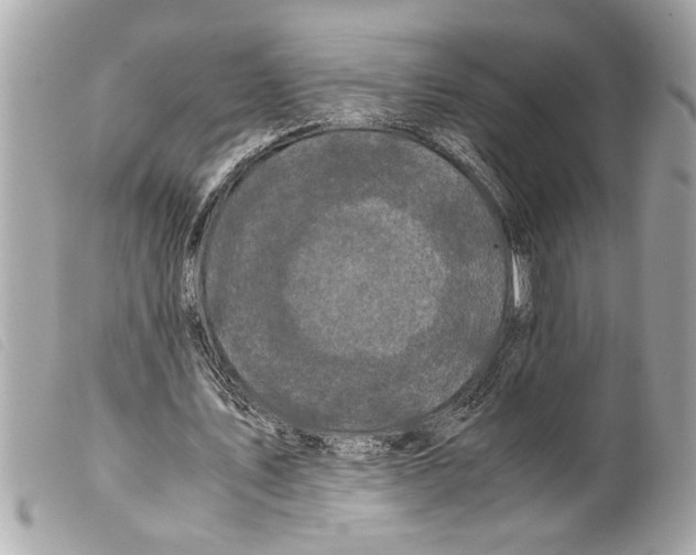 X0000099290579200805301114