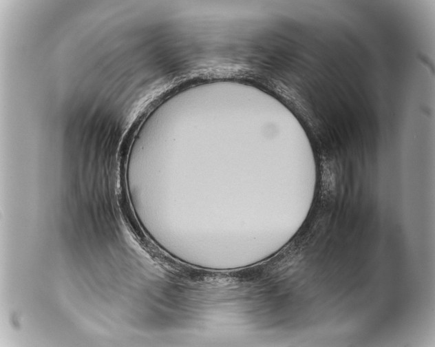 X0000099290582200805301114