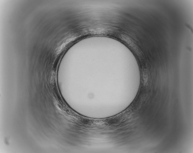 X0000099290583200805301114