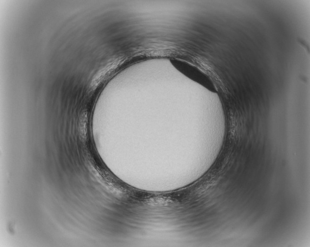 X0000099290586200805301114