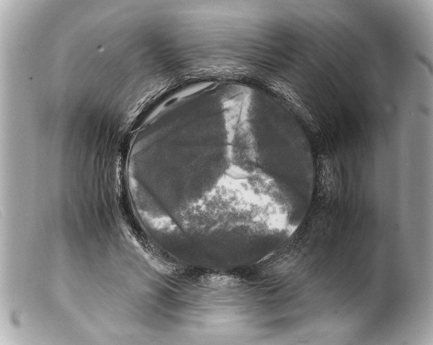 X0000099290590200805301113