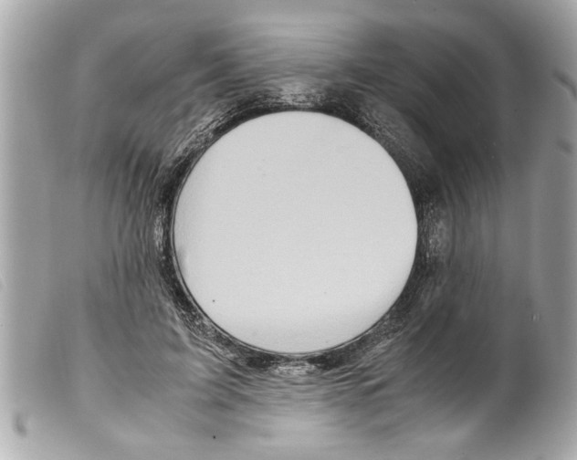 X0000099290595200805301113