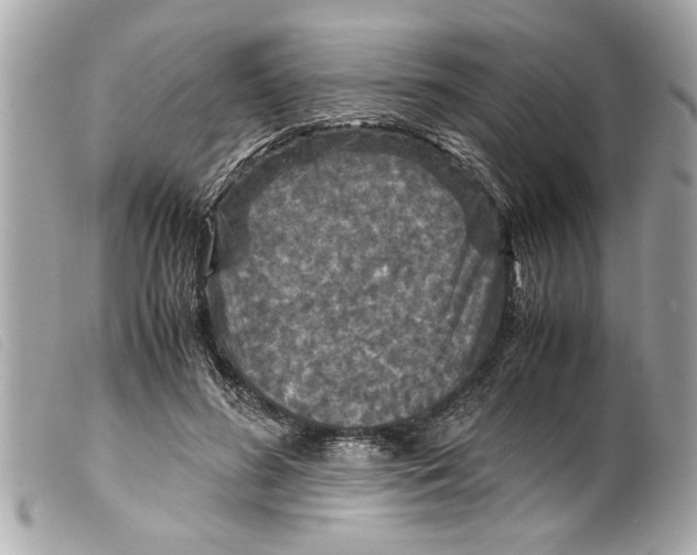 X0000099290596200805301113