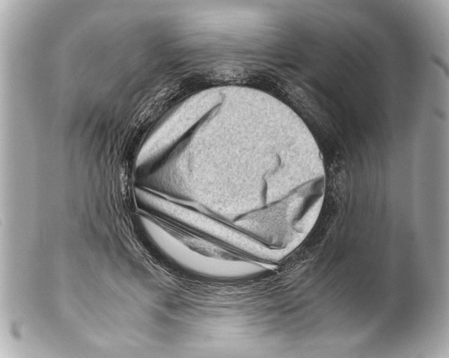 X0000099290597200805301113
