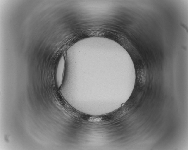 X0000099290602200805301113