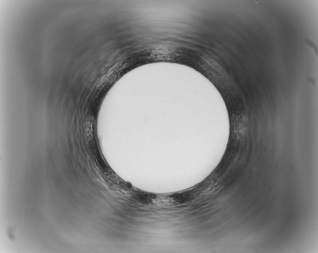 X0000099290603200805301113
