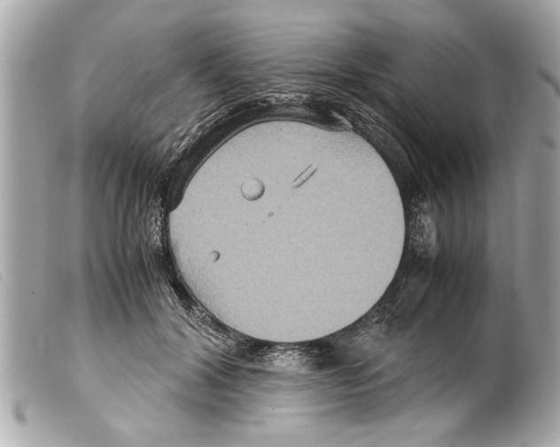X0000099290604200805301113
