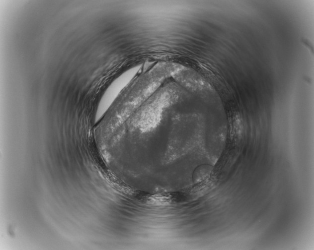 X0000099290606200805301113