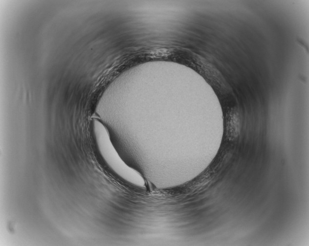X0000099290608200805301113