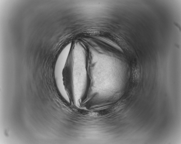X0000099290609200805301113