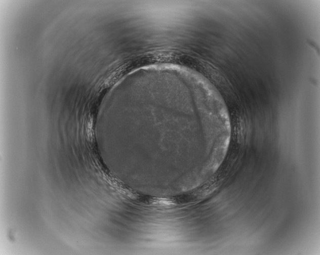 X0000099290610200805301113