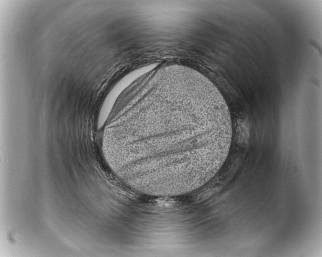 X0000099290612200805301113