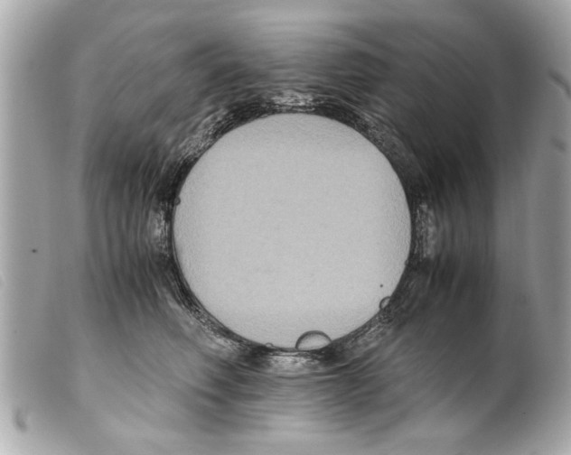 X0000099290614200805301113