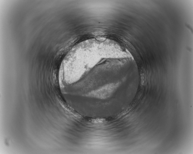 X0000099290618200805301113