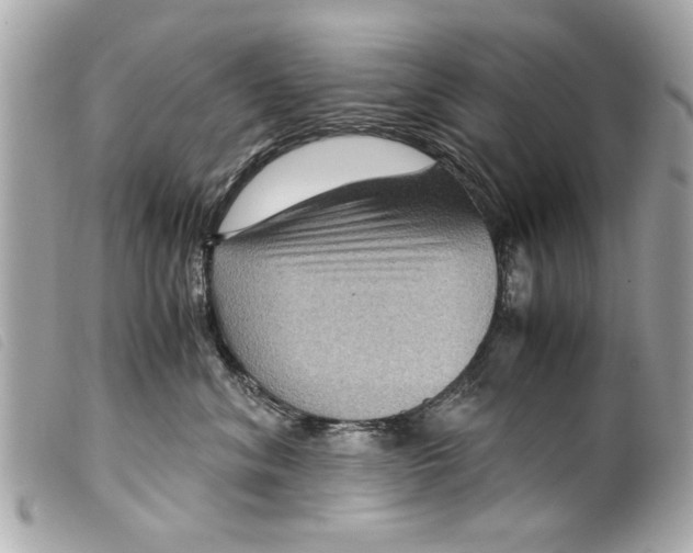 X0000099290620200805301113