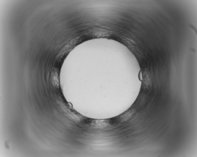 X0000099290622200805301113