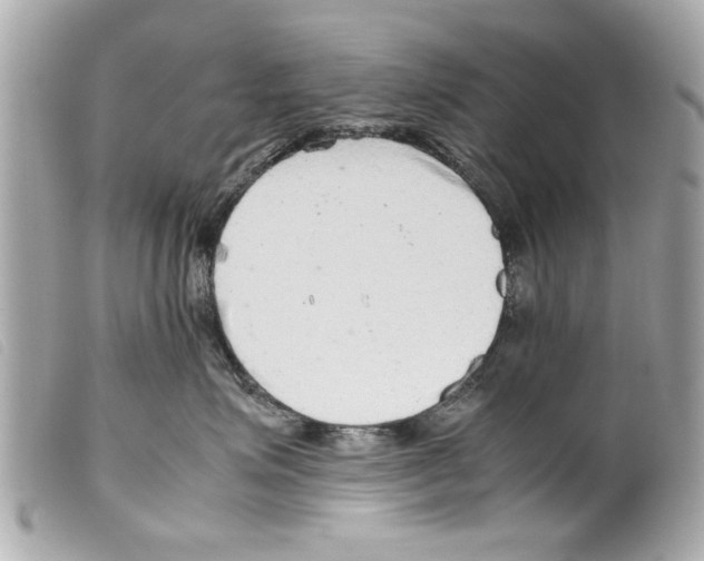 X0000099290623200805301113