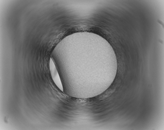 X0000099290624200805301113