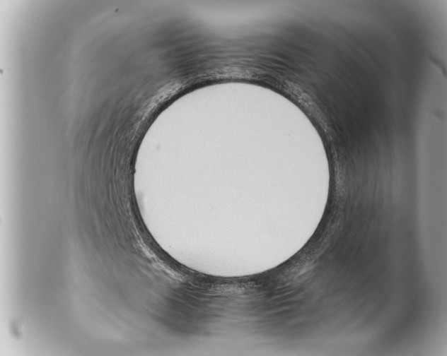 X0000099290625200805301112