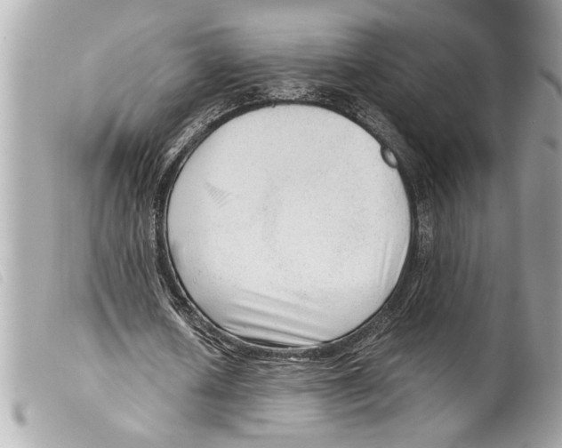 X0000099290626200805301112