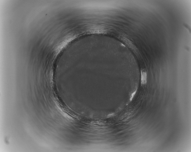 X0000099290627200805301112