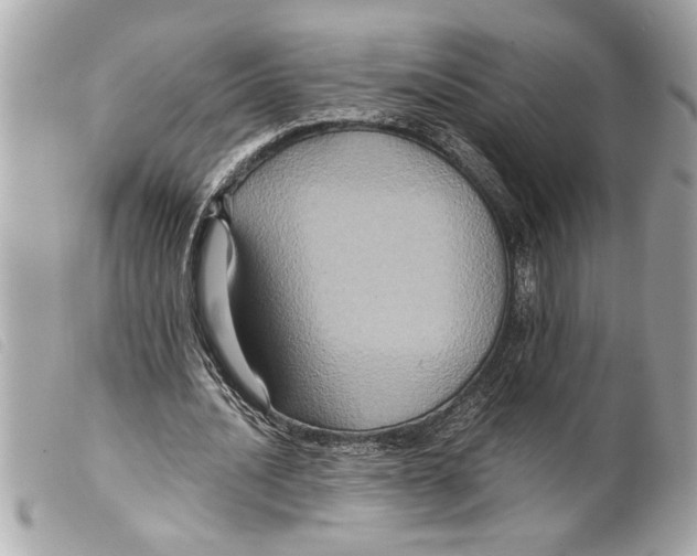 X0000099290628200805301112