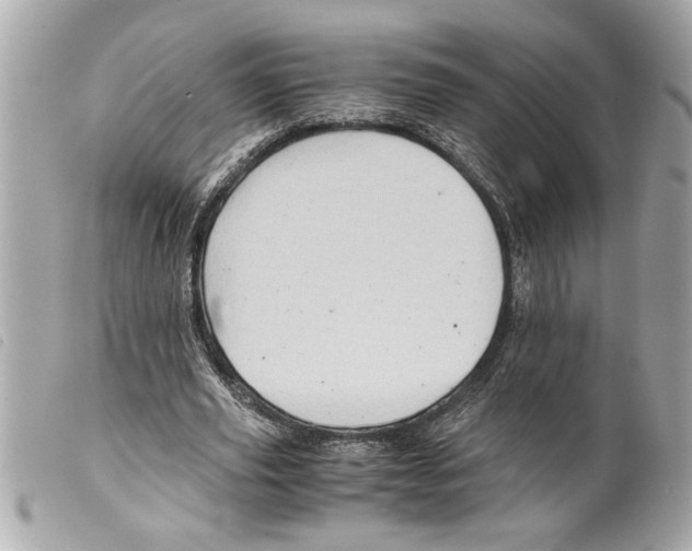X0000099290629200805301113