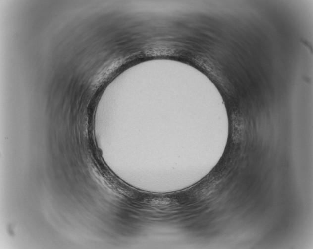 X0000099290631200805301113