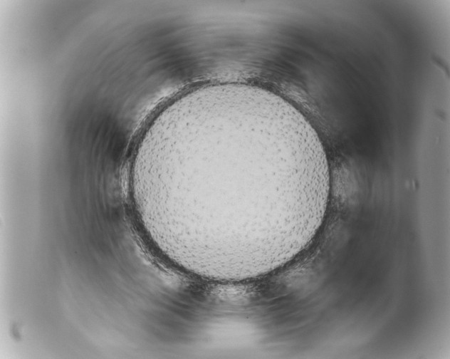 X0000099290632200805301113