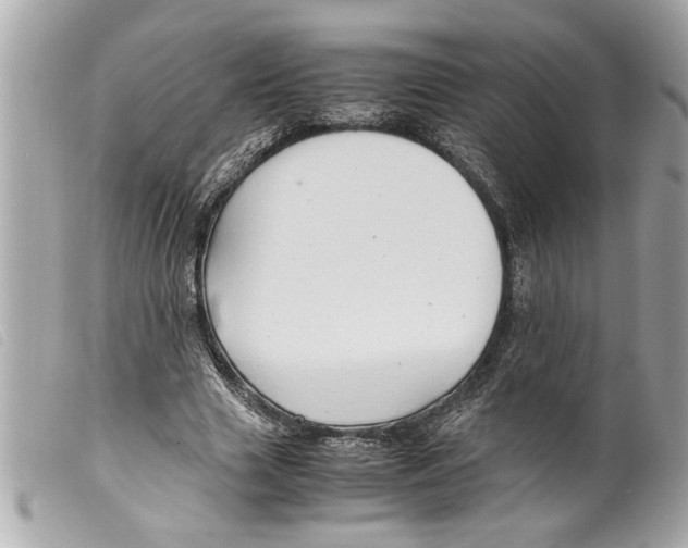 X0000099290633200805301113