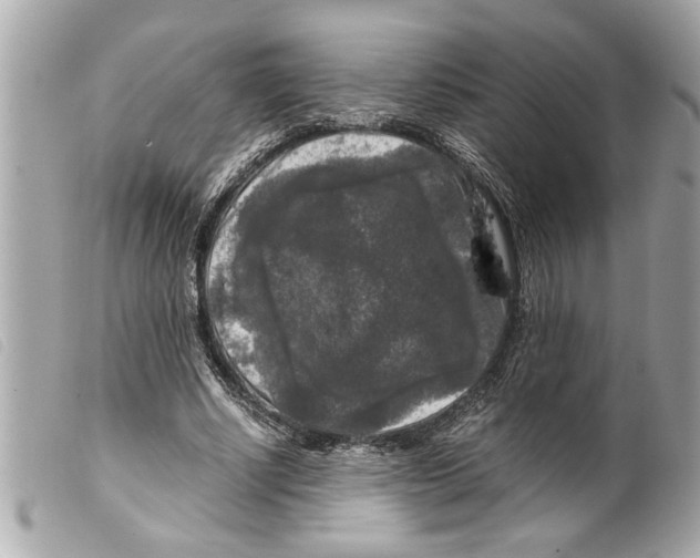 X0000099290634200805301113