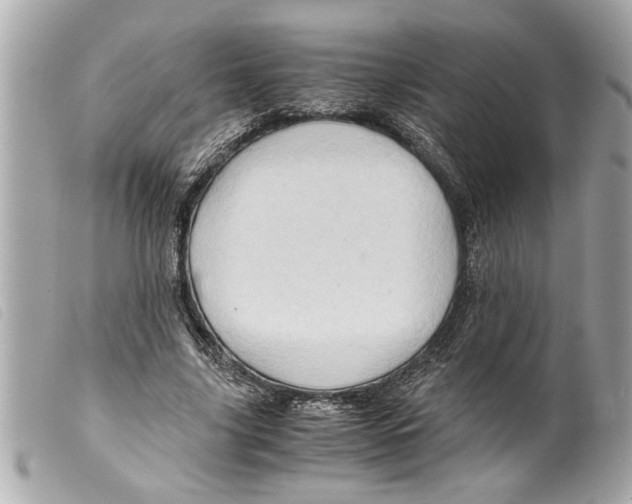 X0000099290635200805301113